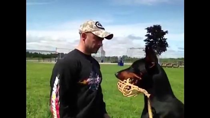 Dobermanı Kuzuya Çeviren Köpek Eğitmeni