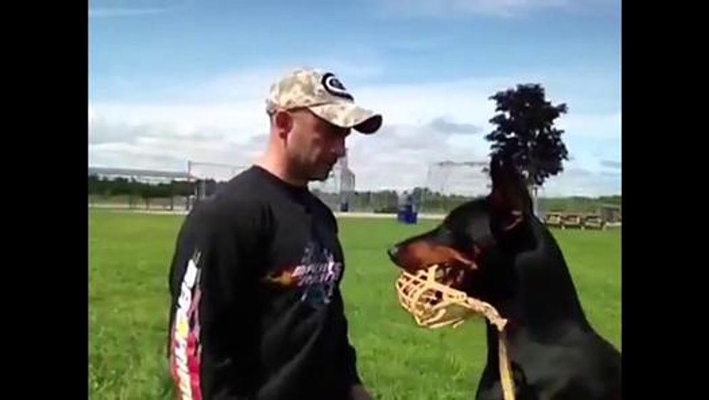 Dobermanı Kuzuya Çeviren Köpek Eğitmeni