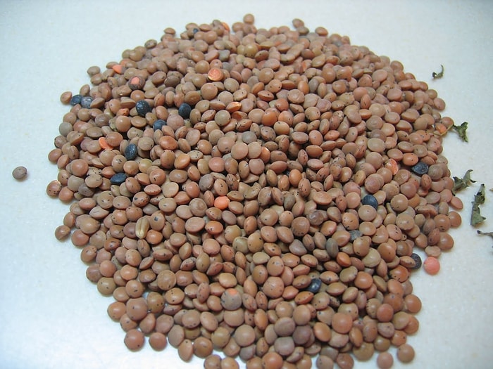 Yeşil Mercimeğin Faydaları