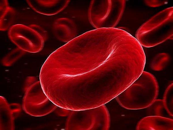 32. Damarlarımızdaki 'asil kan', gün içerisinde vücudumuzda 1.000 den fazla kez döngü yapar.