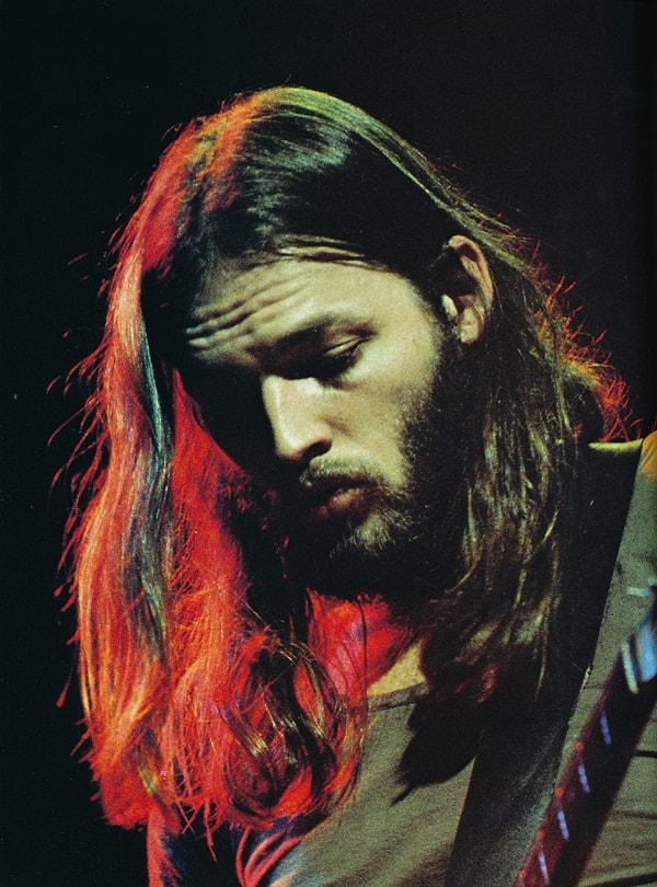6. David Gilmour gruba, o yıllarda mankenlik yaptığı için ve grubun görüntüsünü hoş göstereceği için alınmıştır.