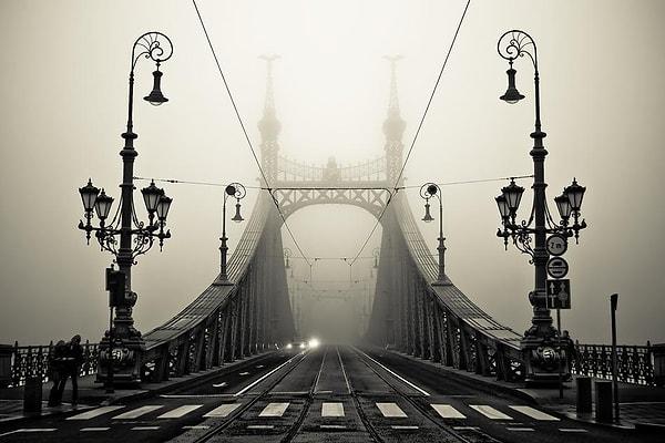 11. Özgürlük Köprüsü, Budapeşte