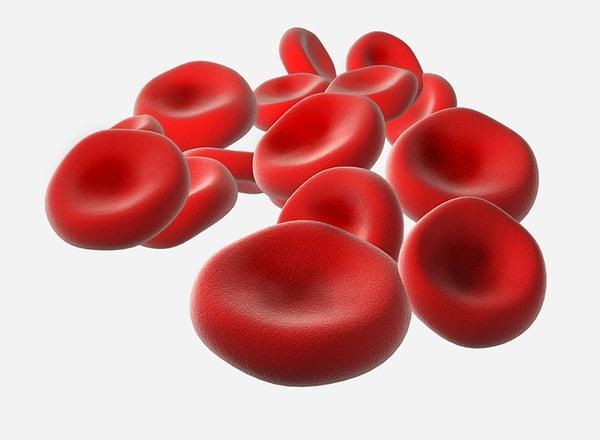 5. Kırmızı kan hücreleri bütün vücudu yaklaşık 20 saniyede dolaşır.