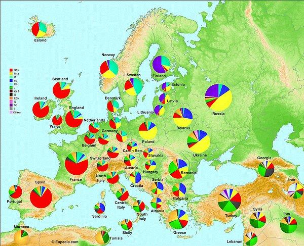 8. Avrupa gen ve ırk haritası