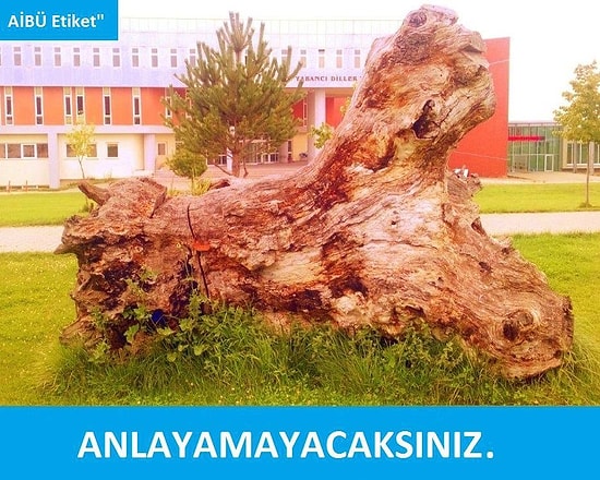 28 Capsle AİBÜ ve Bolu'yu Anlamak - 2