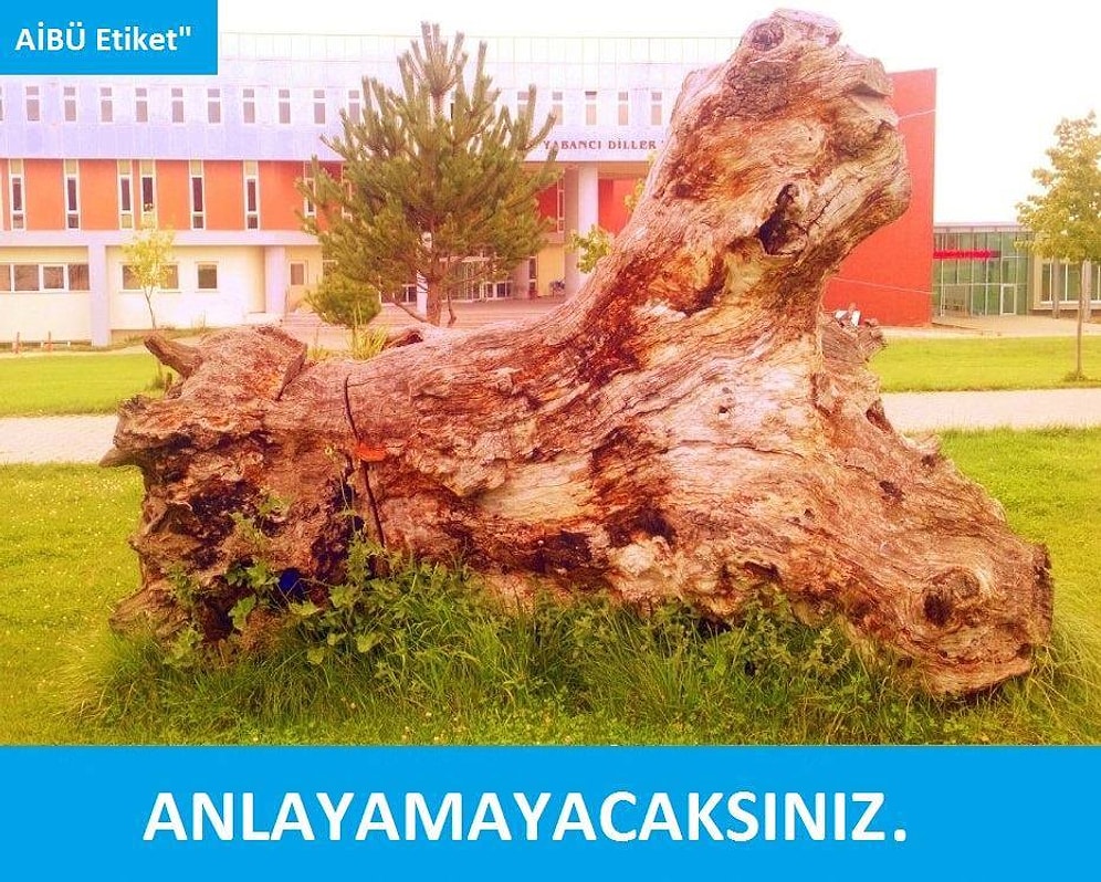 28 Capsle AİBÜ ve Bolu'yu Anlamak - 2