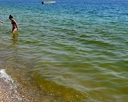 Antalya'da Deniz Yeşile Döndü Balıklar Öldü