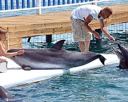 Bodrum'daki Yunus Parkı Kapatılacak