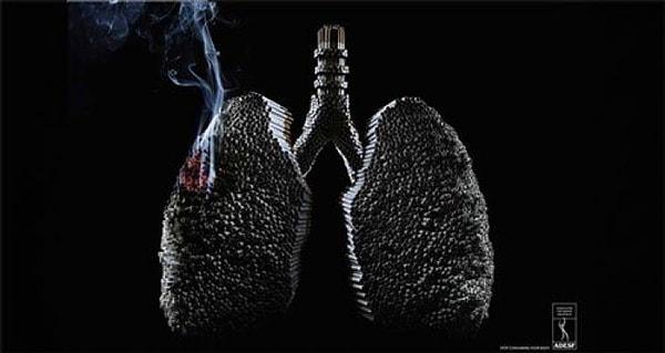3. Her ne kadar sigara içmesen de dumanından dolayı senin sağlığından da götürdüğünü bilirsin.