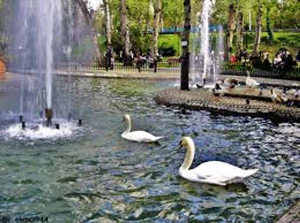 10. Ankara'da bir çok park vardır ve bunların arasında Kuğulu Park görülmesi gerekenler yerler arasında birinci sırada gelir.