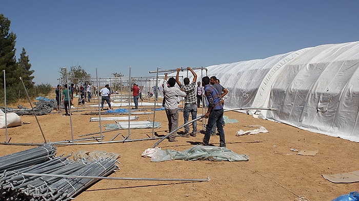 Kobani'den Kaçanlara Çadır Kent