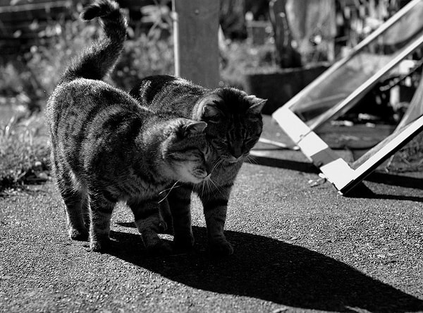 3. Оставлять друг другу свободное пространство.