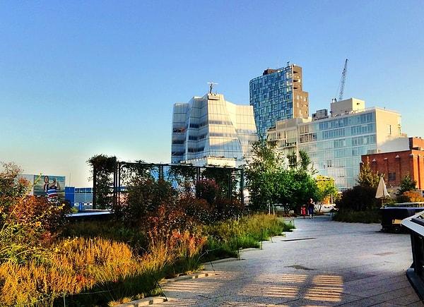 7. The High Line