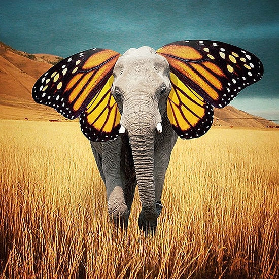 Instagram Fenomeninden 17 Büyüleyici Fotoğraf