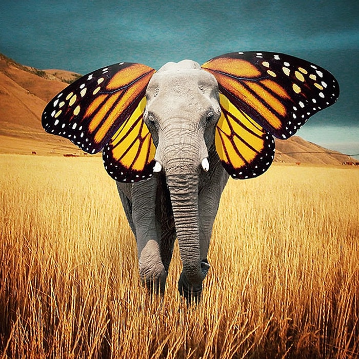 Instagram Fenomeninden 17 Büyüleyici Fotoğraf