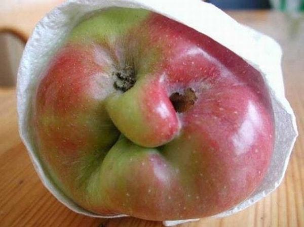 25. Hala ölümden korkan yaşlı elma.