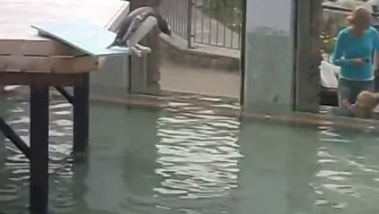 Havuza Atlamayı Beceremeyen Acemi Penguen