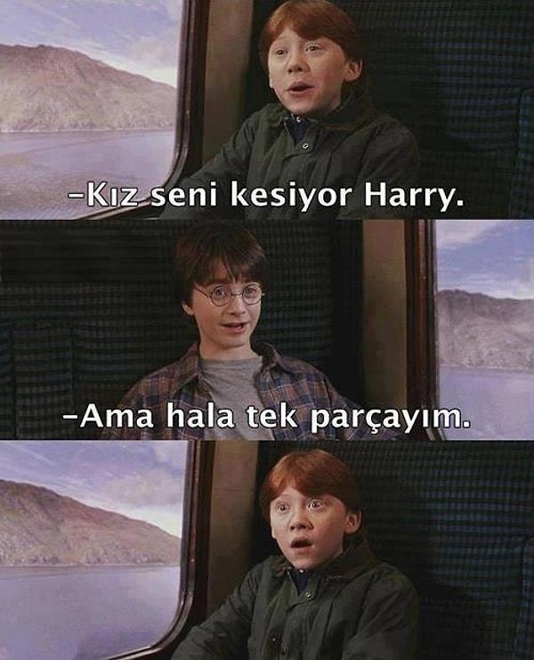 20. Harry!