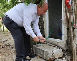 2 Bin Yıllık Mezar Taşı Tuvalete Giriş Basamağı Oldu
