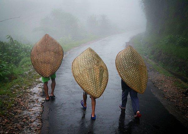 5. Kasabaya doğru yürüyen ve KNUPS olarak bilinen geleneksel Khasi şemsiyeleri ile yağmurdan korunmayan çalışan üç işçi.