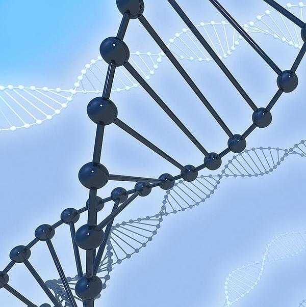 6. Bu nükleozom bölümleri DNA’nın korunması ve zarar görmemesi için özel olarak dizayn edilmiştir.