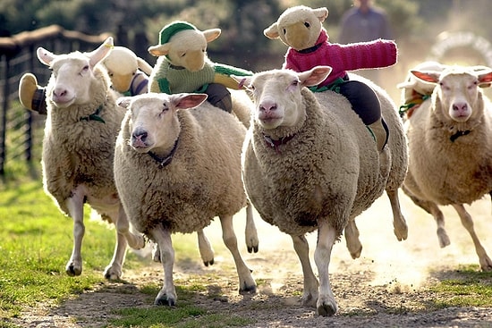 Bayramı Bayram Yapan 11 An!