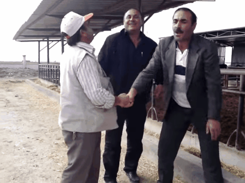 s-90a20400c76d8b86eb2f8731804c045d9532e024.gif