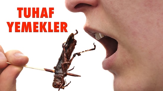 Dünyanın En Garip 10 Yemeği