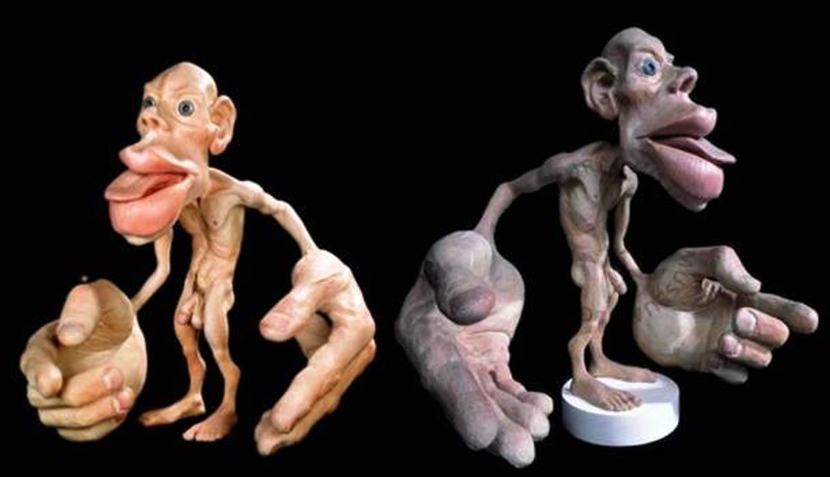 Homunculus. Homunculus