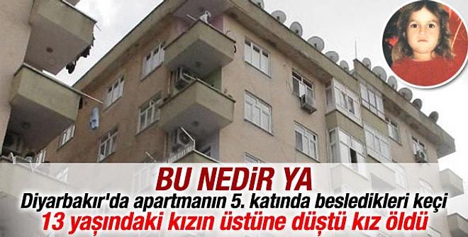 Diyarbakır'da bir keçi 5 katlı binanın çatısından atladı.