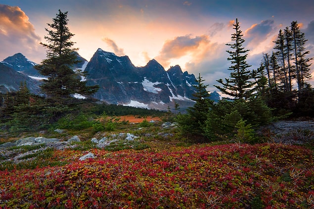 35. Tonquin Valley, Canadian Rockies, Alberta, Kanada