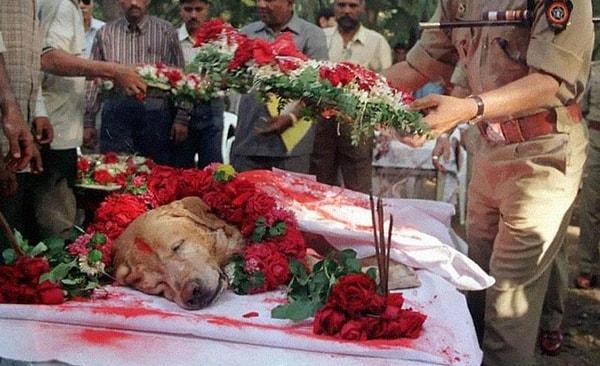 2. Binlerce masumun hayatını kurtaran Zanjeer isimli bomba köpeği öldükten sonra tam anlamıyla bir devlet töreniyle son yolculuğuna uğurlanıyor. (2000)