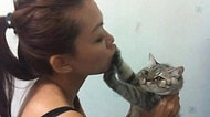Tavırlarıyla Kediliğin Hakkını Sonuna Kadar Veren 21 Kedi