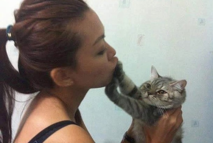 Tavırlarıyla Kediliğin Hakkını Sonuna Kadar Veren 21 Kedi