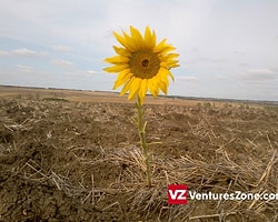 Birazdan Çok Geç, Hemen Şimdi Yap