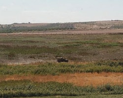 Sınırda Akıl Almaz Vahşet!