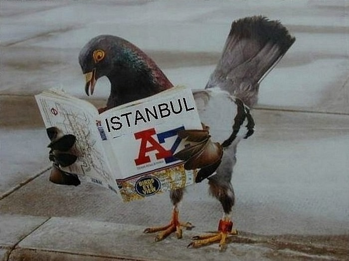 İstanbul'un Ne Kadar Fantastik Bir Yer Olduğunu Kanıtlayan 23 Semt İsmi