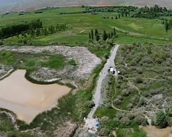 Aras Nehri Kuş Cenneti Kuraklığa Kurban Gidiyor