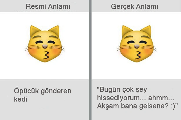 Herkesin Kullandığı, Fakat Gerçek Anlamları Oldukça Farklı Olan 23 Emoji