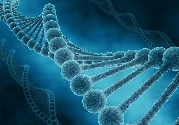 8. Yeni bir araştırmaya göre fobilerimiz atalarımızın yaşadığı deneyimlerin DNA'mıza işlenmesiyle ortaya çıkmış olabilir.
