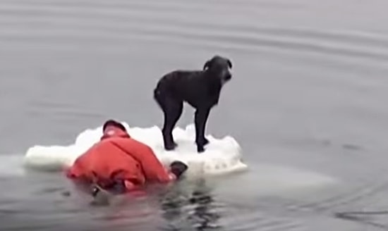 İnsanlığımızı Unutmadığımızın 4 Dakikalık Kanıtı