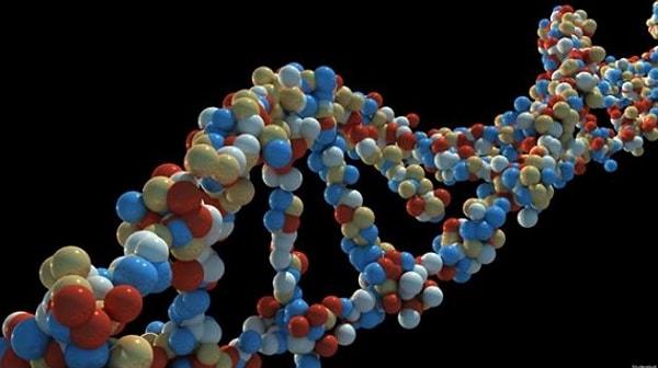 8. Hurda DNA