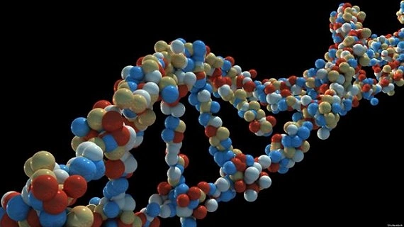Hurda DNA