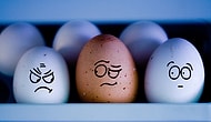Harbiden Liberalizm Nedir?