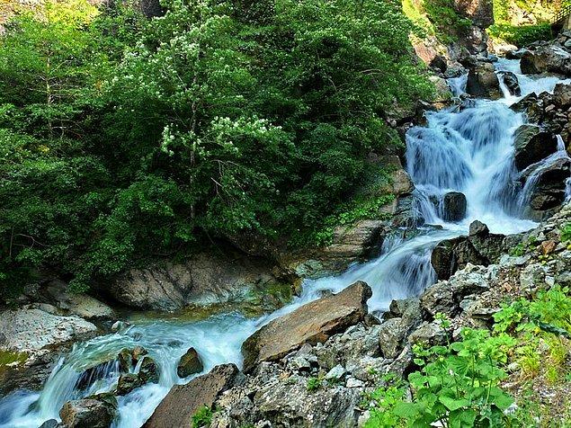 2. Altindere National Park, Trabzon – Turkey