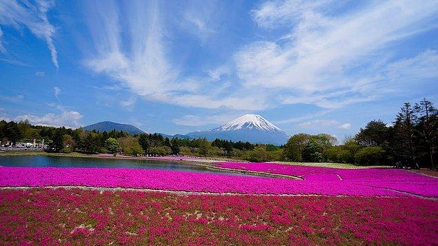 10. Fuji-Hakone-Izu National Park, Honshu - Japonya