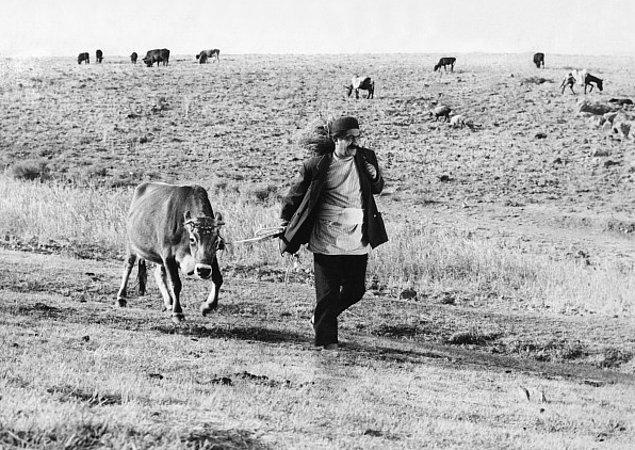 6. The Cow / İnek | IMDB: 8,2 (1969)