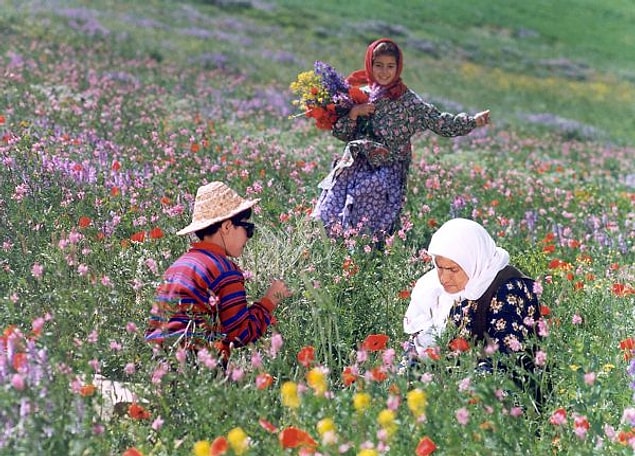 9. The Color of Paradise / Cennetin Rengi | IMDB: 8,2 (1999)