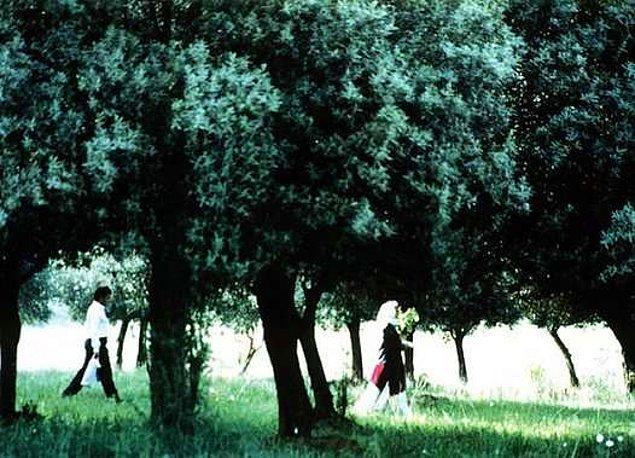 13. Through the Olive Trees / Zeytin Ağaçları Altında | IMDB: 7,7 (1994)