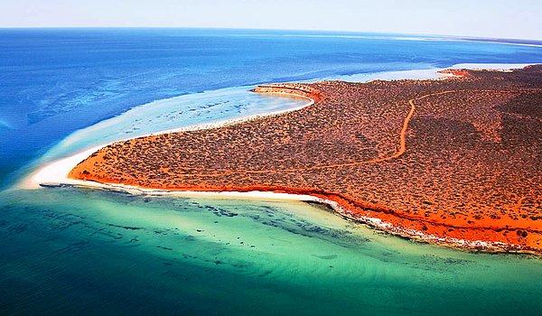 12. Köpek Balığı Körfezi, Avustralya